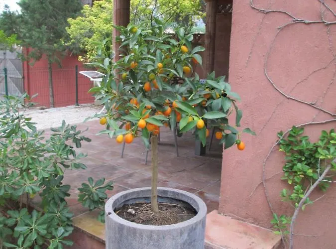 Cote D'asoet Apartahotel Sainte-Maxime